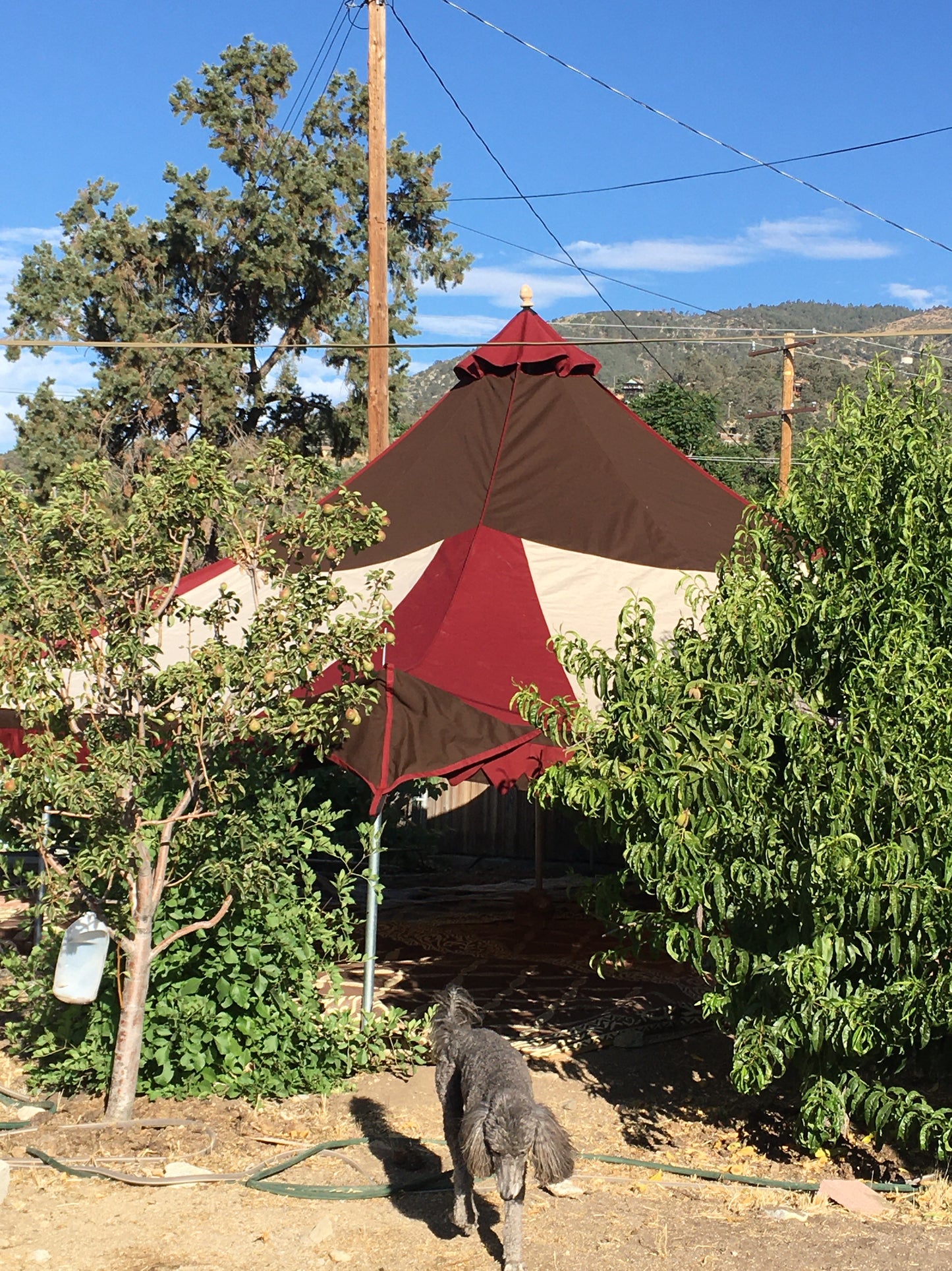 Oakenfoot Faire Tents - 20-foot "Maker" Sunbrella pavilion square style complete tent system