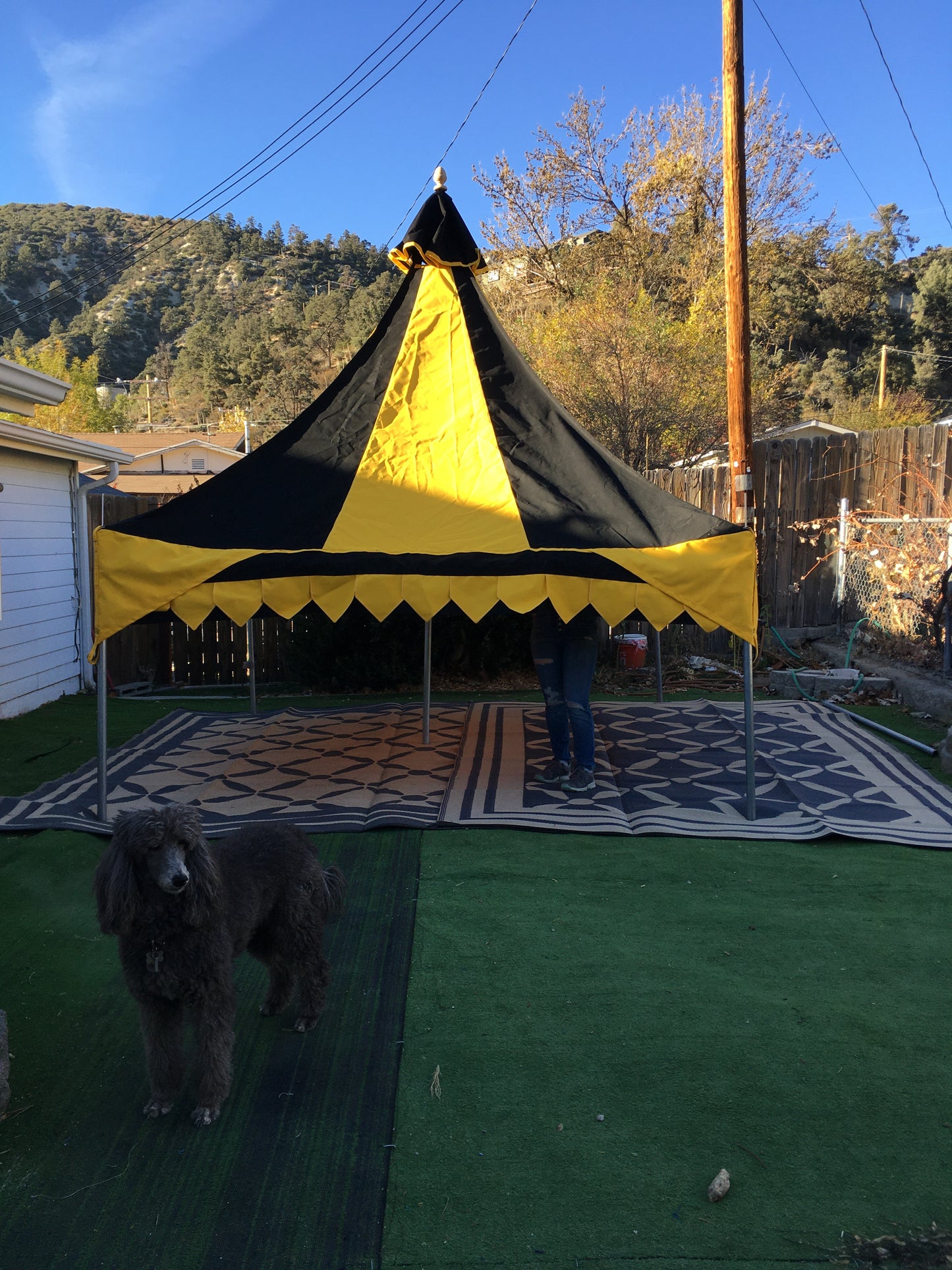 Oakenfoot 10-footer Faire Sails design Off the Shelf tent system
