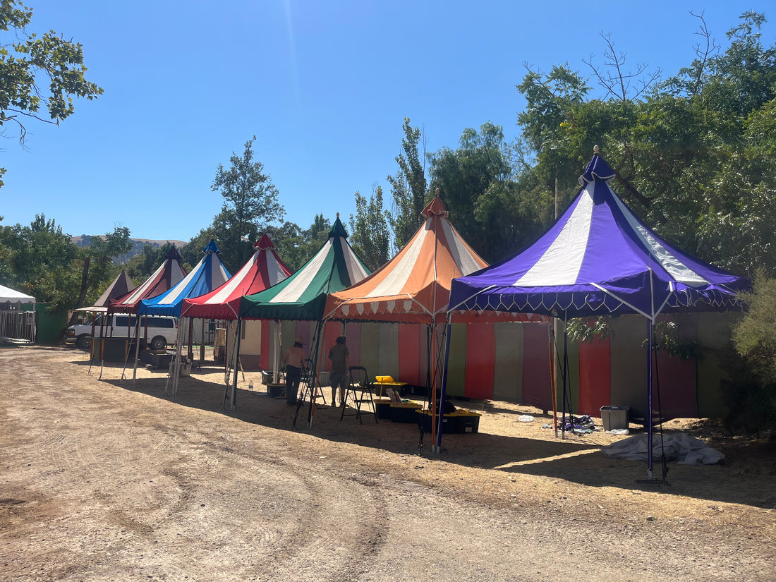 Guest Artist row at Northern California Renaissance Pleasure Faire 2024